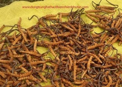 5 thực phẩm tự nhi&ecirc;n chứa độc tố nguy hiểm hơn đồ ăn nhanh