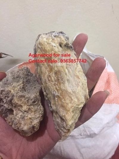 Trầm Hương Kỳ Nam