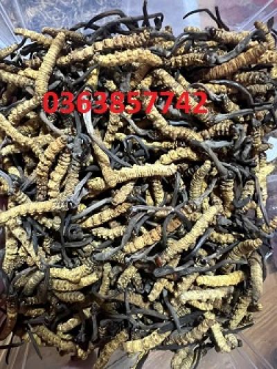 6 thực phẩm giàu biotin chống rụng tóc