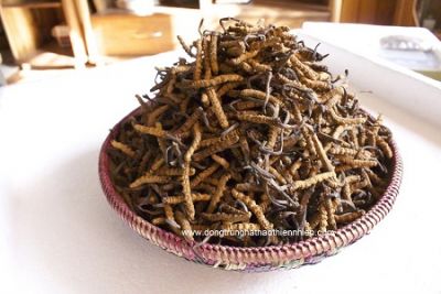 Giảm các triệu chứng tiền mãn kinh nữ