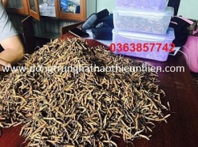 Tầm so&aacute;t ung thư tuyến tiền liệt miễn ph&iacute; 1.000 nam giới từ 50 tuổi