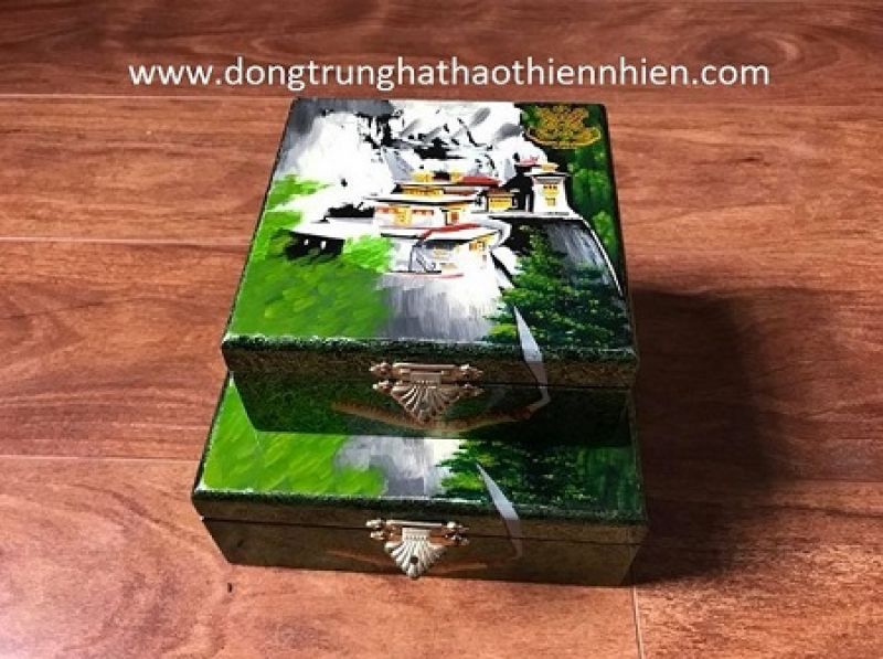 Hộp quà biếu Đông Trùng Hạ Thảo