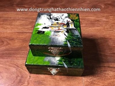 Hộp quà biếu Đông Trùng Hạ Thảo