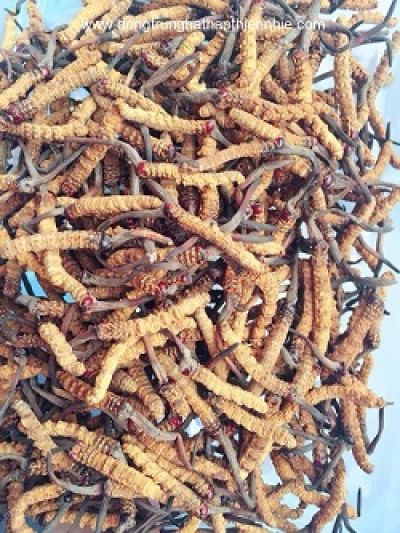 7 thực phẩm chống vi&ecirc;m n&ecirc;n ăn h&agrave;ng tuần