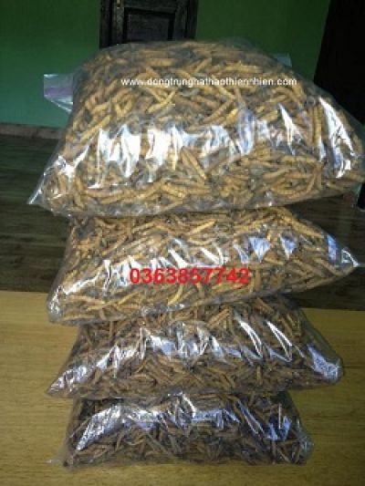 Thời gian giao hợp bao lâu?