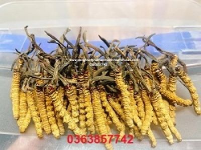 5 dấu hiệu cảnh b&aacute;o bổ sung vitamin qu&aacute; mức