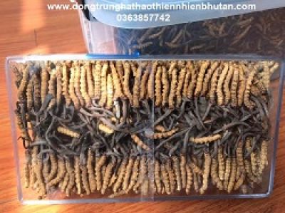 B&aacute;c sĩ n&ecirc;u t&ecirc;n 10 loại thuốc c&oacute; thể t&agrave;n ph&aacute; thận cấp t&iacute;nh