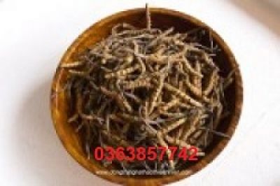 Nguy cơ rối loạn thần kinh, suy đa tạng bởi say nắng