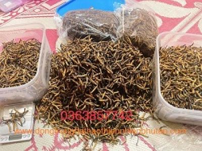 &#039;Mới thông tin kiểm tra lòng se điếu, khắp nơi đã báo hết hàng&#039;