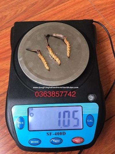 8 dưỡng chất gi&uacute;p đường ruột khỏe từ b&ecirc;n trong